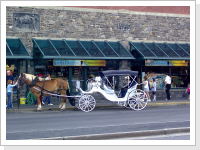 Klicken Sie auf das Bild, um es zu vergr&ouml;&szlig;ern