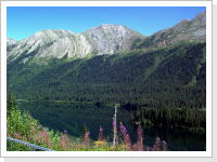 Klicken Sie auf das Bild, um es zu vergr&ouml;&szlig;ern