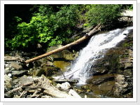 Klicken Sie auf das Bild, um es zu vergr&ouml;&szlig;ern