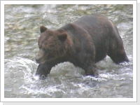 Klicken Sie auf das Bild, um es zu vergr&ouml;&szlig;ern