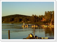 Klicken Sie auf das Bild, um es zu vergr&ouml;&szlig;ern