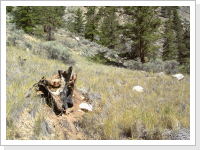 Klicken Sie auf das Bild, um es zu vergr&ouml;&szlig;ern