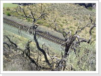 Klicken Sie auf das Bild, um es zu vergr&ouml;&szlig;ern