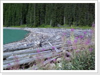 Klicken Sie auf das Bild, um es zu vergr&ouml;&szlig;ern