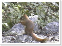 Klicken Sie auf das Bild, um es zu vergr&ouml;&szlig;ern