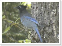 Klicken Sie auf das Bild, um es zu vergr&ouml;&szlig;ern